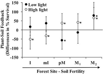 Site Soil-Fertility and Light Availability Influence Plant-Soil Feedback